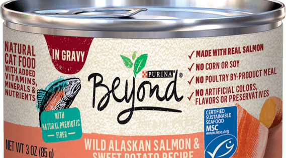 Purina Beyond Wild Alaskan Salmon & Sweet Potato Recipe In Gravy